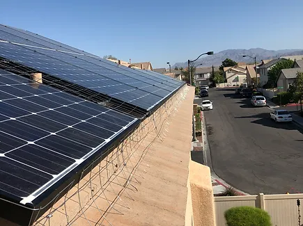 Keep your solar panels clean with effective Prime pigeon control